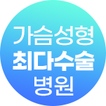 가슴성형 최다수술 병원