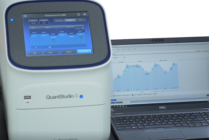 실시간유전자증폭정량분석