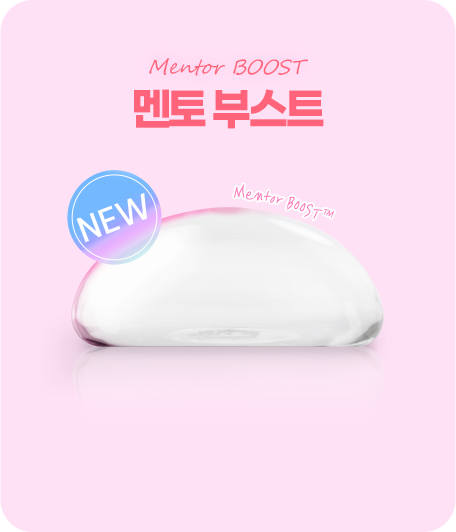 멘토 부스트