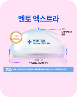 멘토 엑스트라