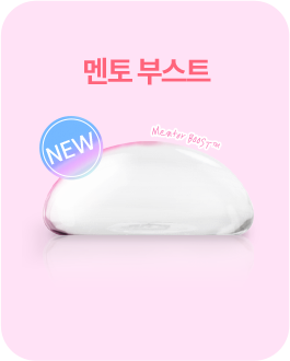 멘토 부스트