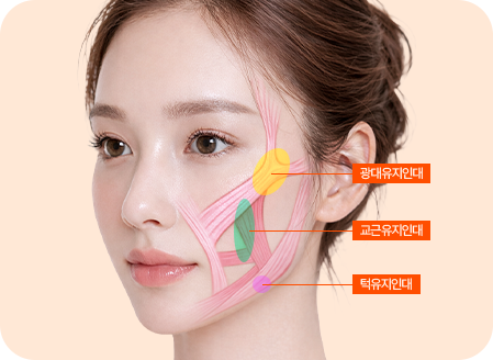 파워 미니리프팅 이미지 1