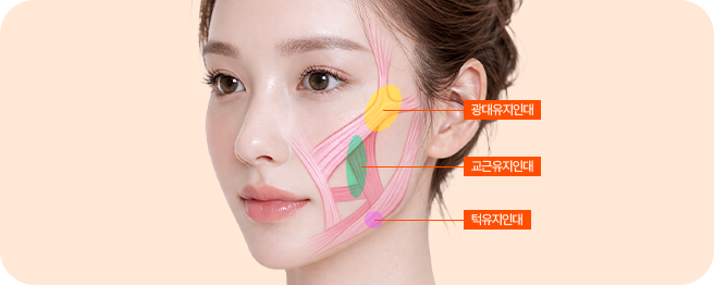 파워 미니리프팅 이미지 1