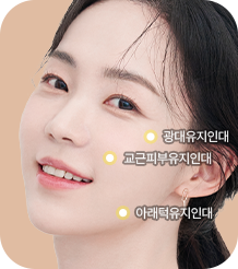 근막층을 지탱하는 유지인대 끊기