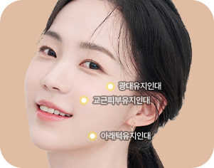 헤어라인 안쪽, 히든절개