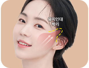 헤어라인 안쪽, 히든절개