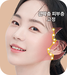 스마스층, 진피, 표피까지 단단한 3중 고정