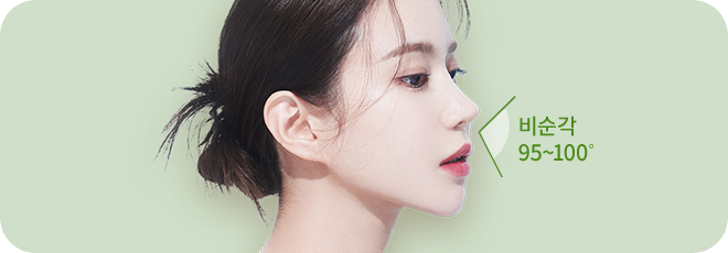 자려라인 비순각