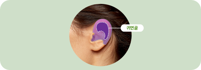 귀연골