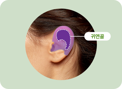 귀연골