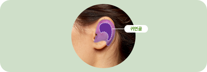 귀연골