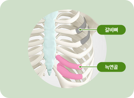 갈비뼈. 늑연골