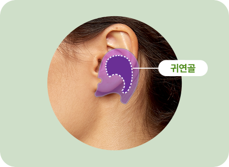 귀연골