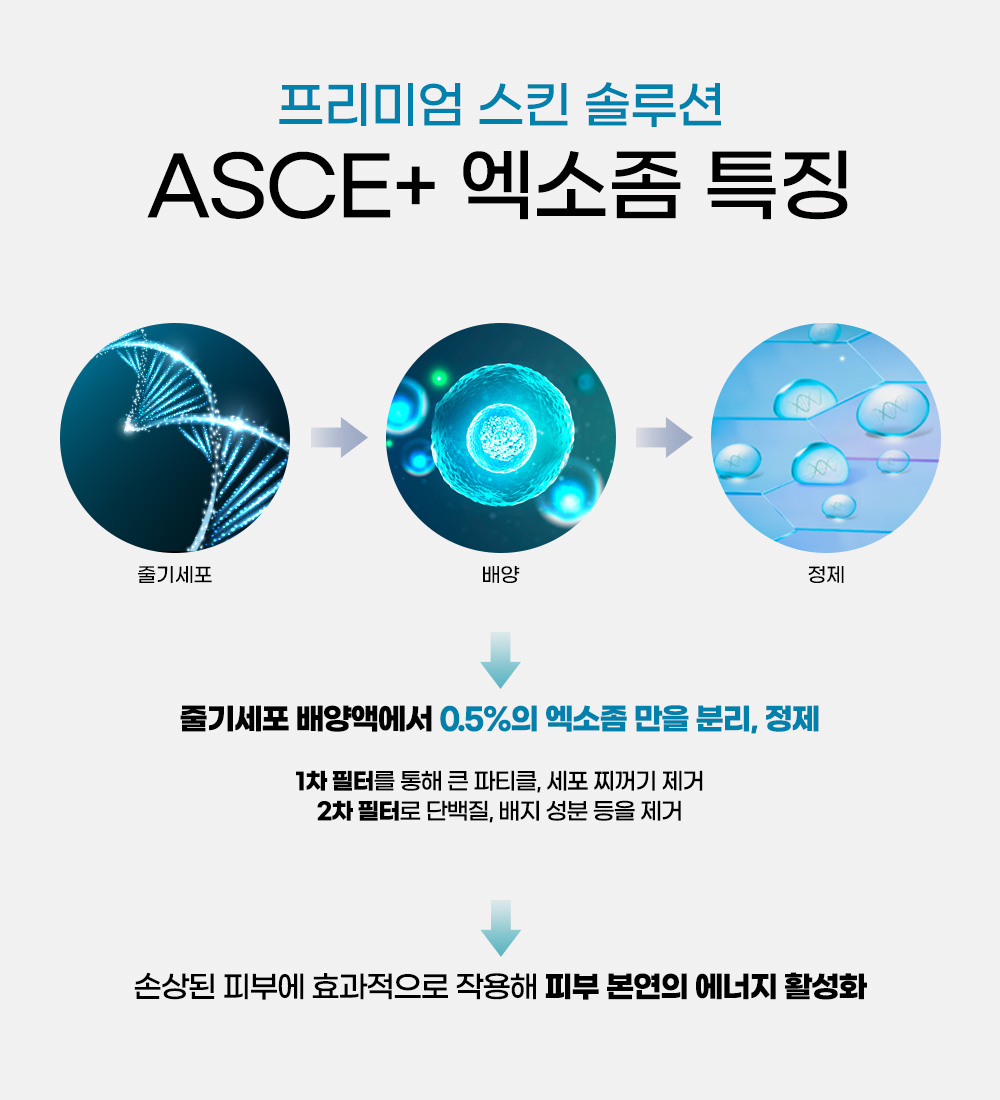 ASCE+ 엑소좀 특징