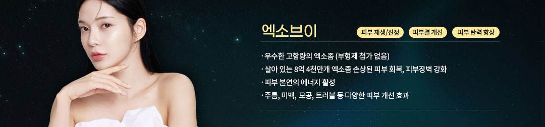 엑소브이