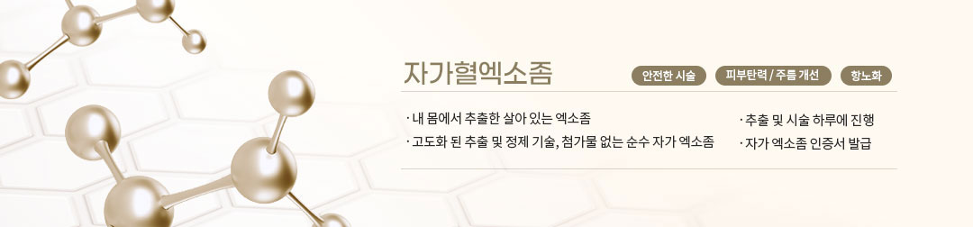 자가혈엑소좀
