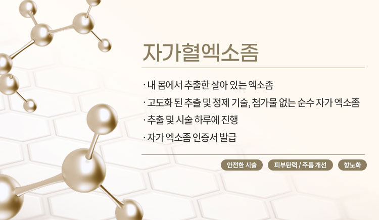 자가혈엑소좀mo