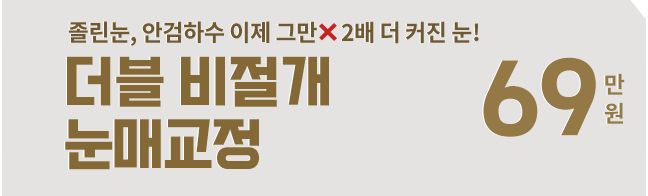 더블 비절개 눈매교정 69만원