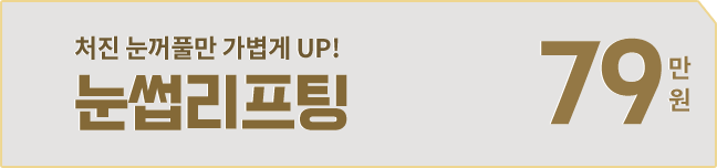 눈썹리프팅 79만원
