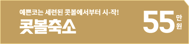 콧볼축소 55만원