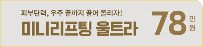 미니리프팅 울트라 78만원