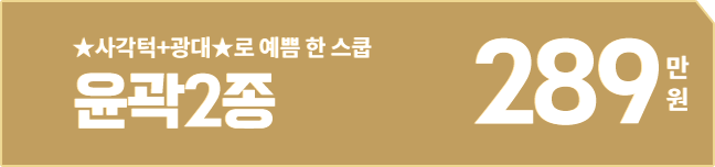 윤곽2종 289만원