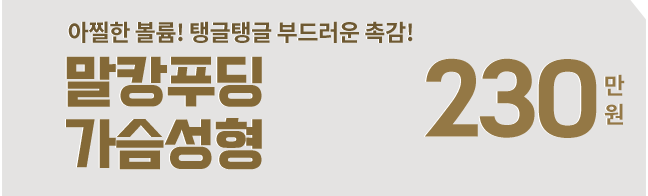 말캉푸딩 가슴성형 230만원
