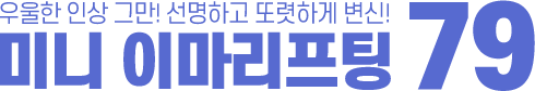 미니 이마리프팅 79만원