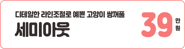 세미아웃 39만원