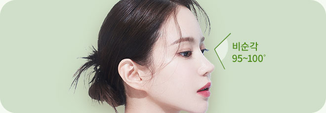 자려라인 비순각