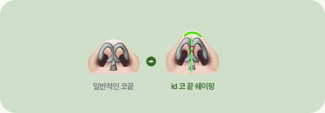 자려한코 코끝