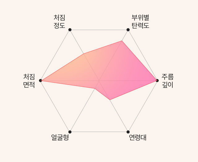 테일러 리프팅 표