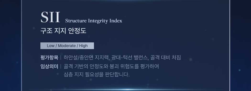 SII 구조지지 안정도. Structure Integrity Index. Low / Moderate / High. 평가항목은 하안셜/중안면 지지력, 광대-턱선 밸런스, 골격 대비 처짐. 임상 의미는 골격 기반의 안정도와 붕괴 위험도를 평가하여 심층 지지 필요성을 판단합니다.