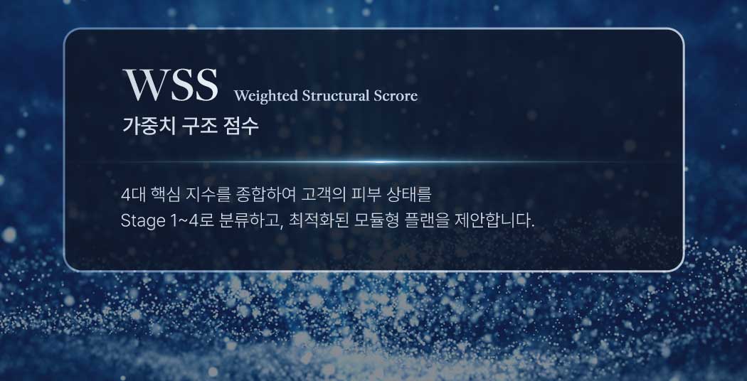 WSS 가중치 구조 점수. Weighted Structural Score. 4대 핵심 지수를 종합하여 고객의 피부 상태를 Stage 1~4로 분류하고, 최적화된 모듈형 플랜을 제안합니다.
