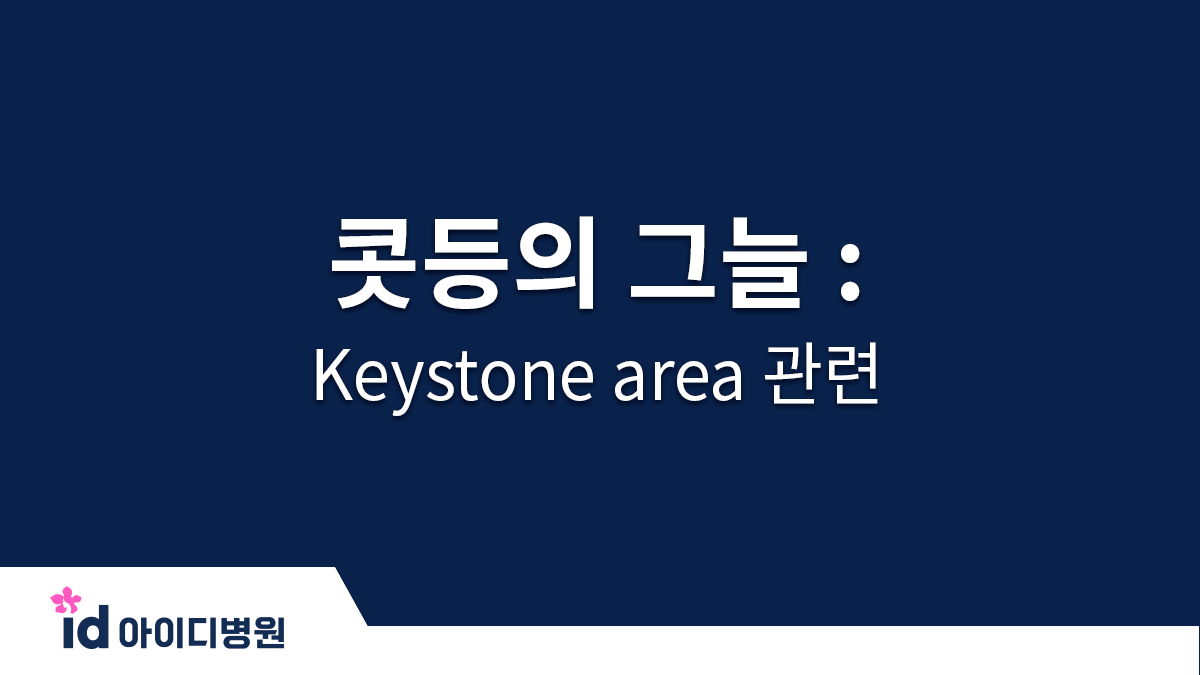 콧등의 그늘 : Keystone area 관련