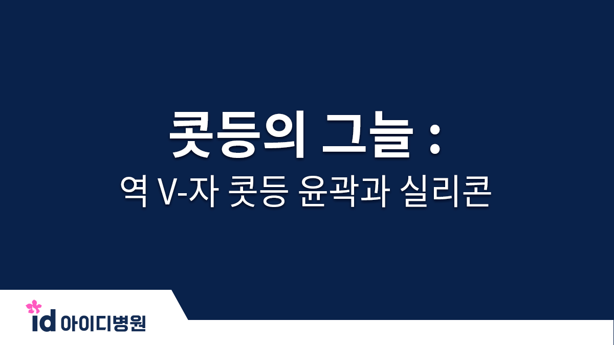 콧등의 그늘 : 역 V-자 콧등 윤곽과 실리콘