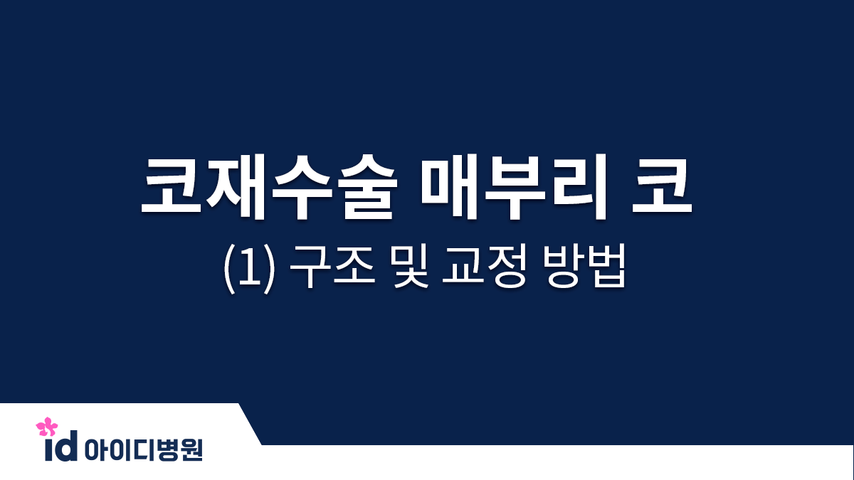 코재수술 매부리 코 (1) 구조 및 교정 방법