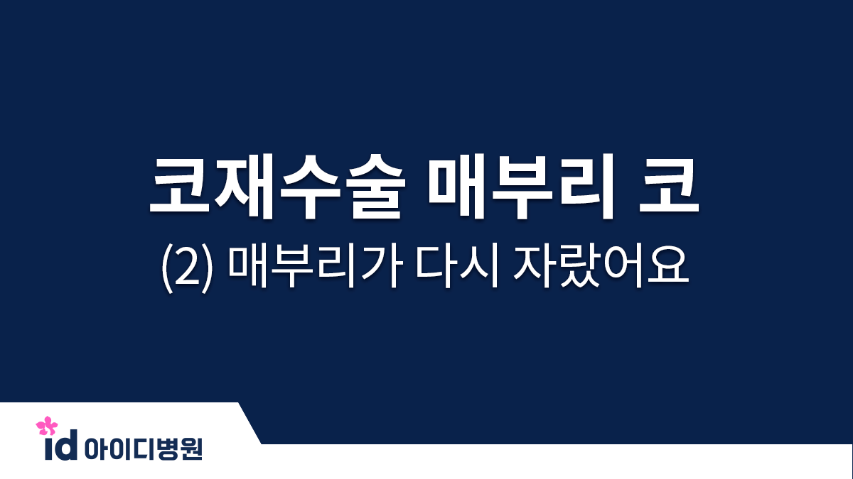 코재수술 매부리 코 (2) 매부리가 다시 자랐어요 ㅠㅠ