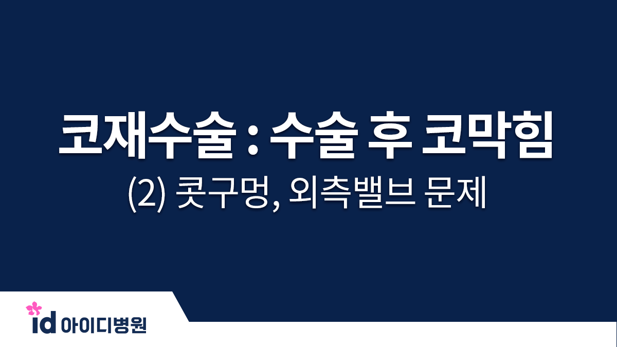 코재수술 : 수술 후 코막힘 (2) 콧구멍(외비공), 외측밸브 문제