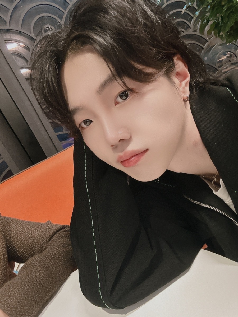 이미지 4