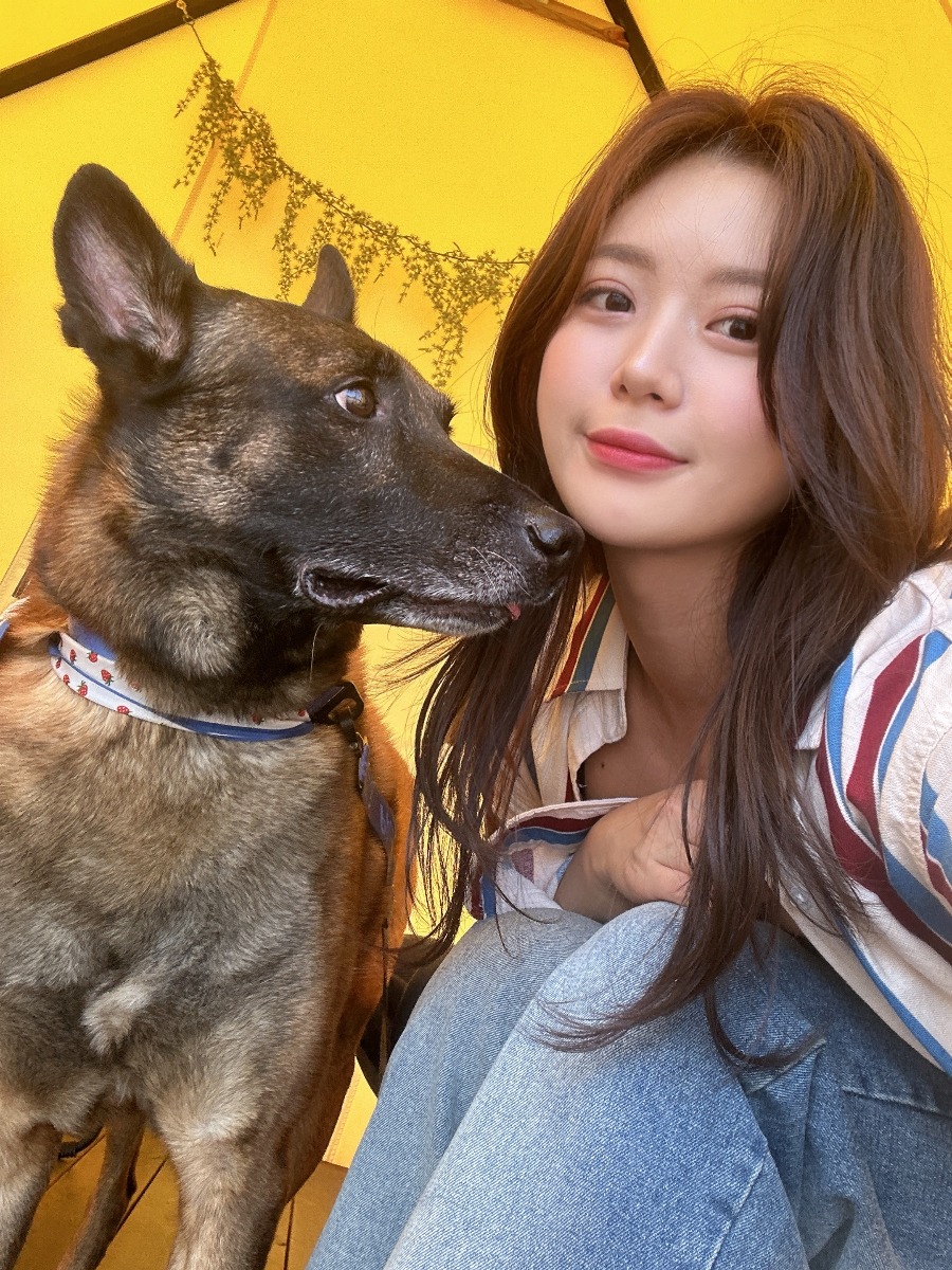 이미지 2