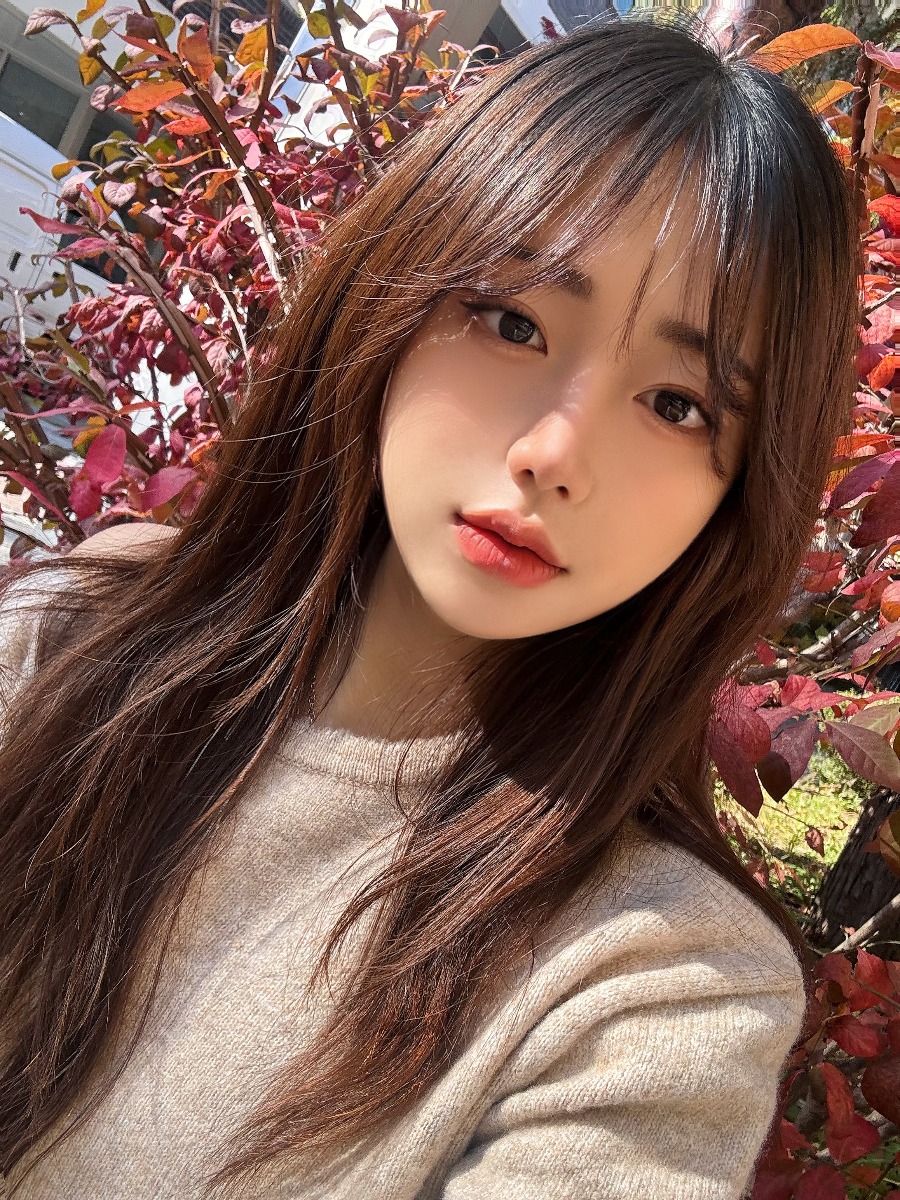 메인