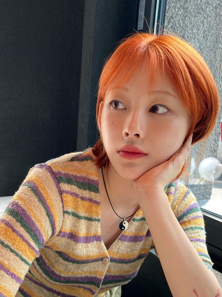 메인