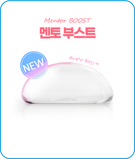 멘토 부스트
