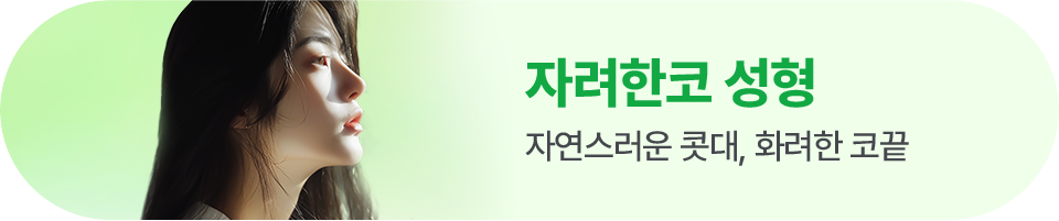 자려한 코