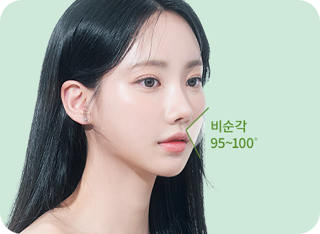비순각 각도