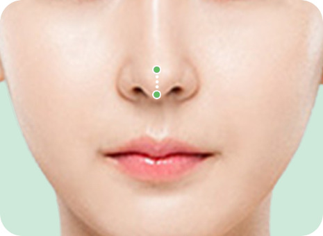 비주 길이