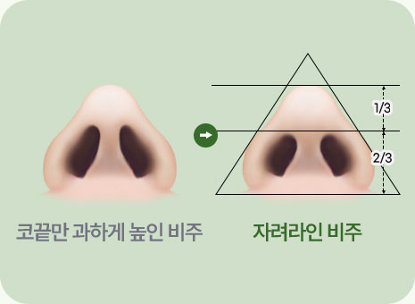 자려라인 비주