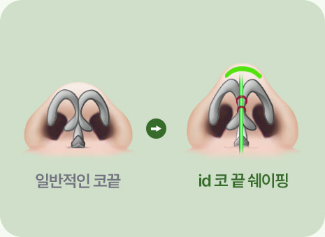 자려한코 코끝