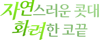 자연스러운 콧대 화려한 코끝